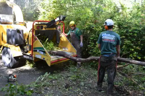 tree services Oelwein